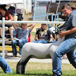 Image of participants in Albany County Fair, Laramie, Wyoming