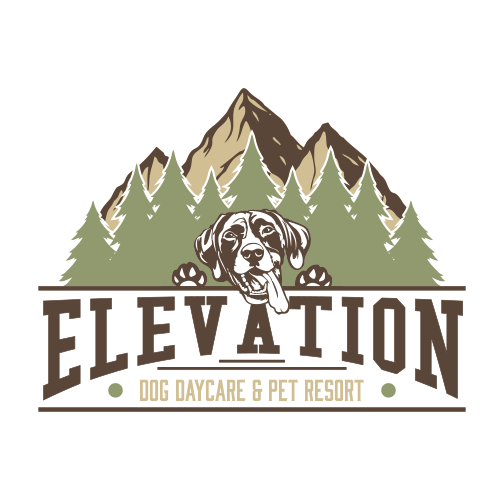 Image of Elevation Dog Daycare and pet resort logo